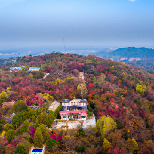 秋天的南京紫金山风景画(3张)